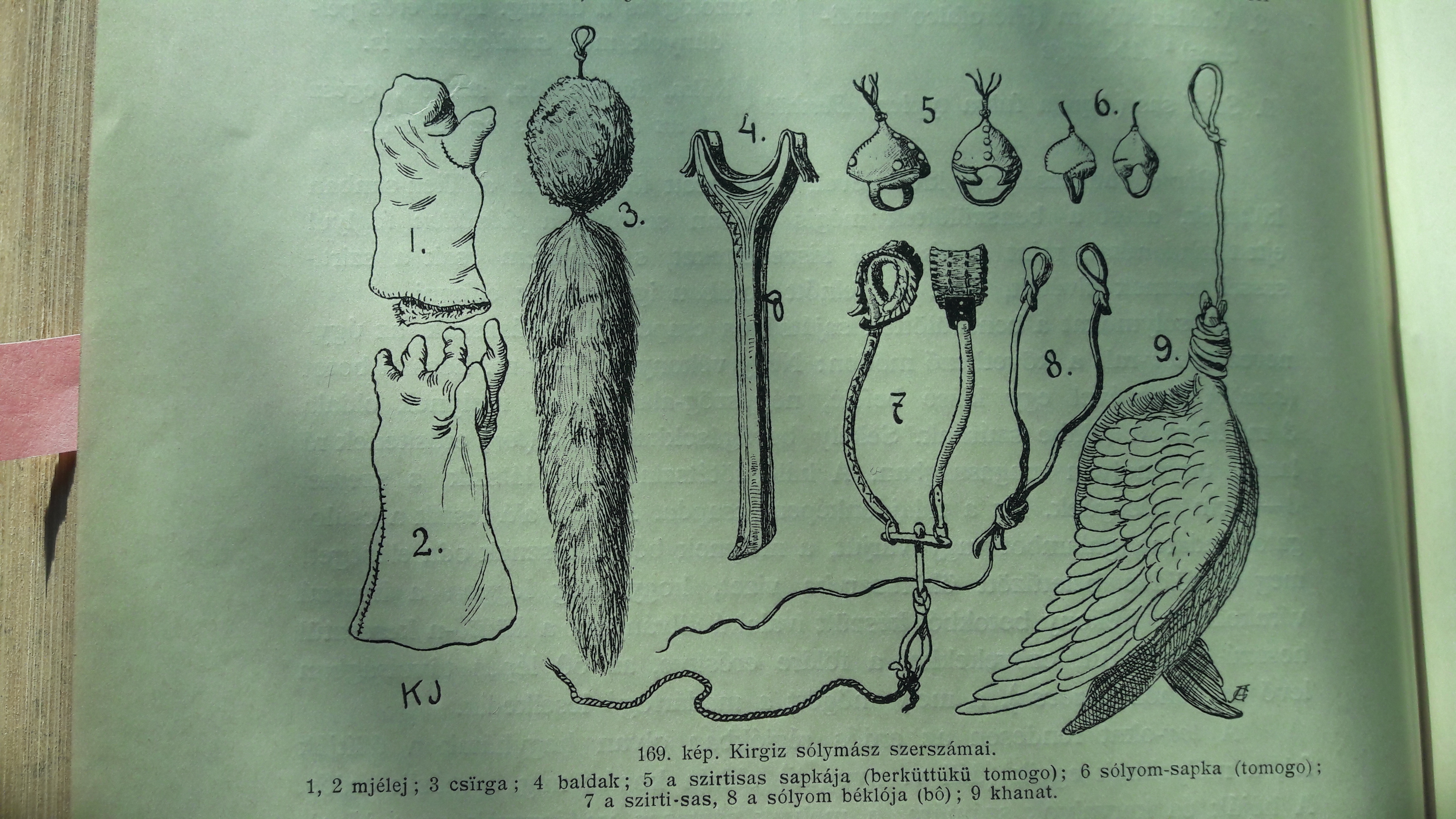 XIX. századi kirgiz solymász eszközök