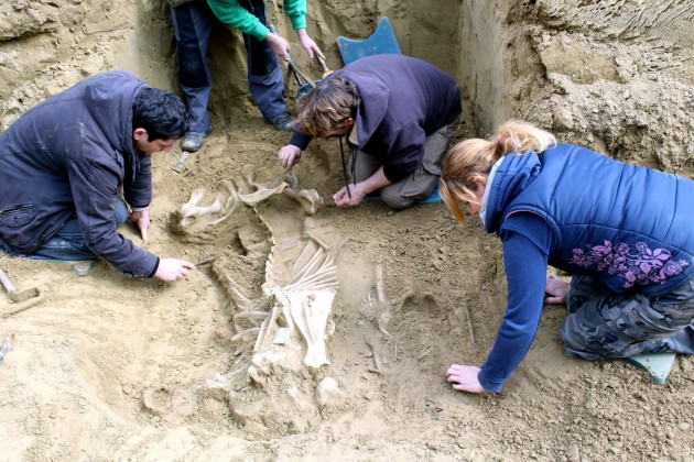 Avar temetkezés feltárása / fotó: Göcseji Múzeum